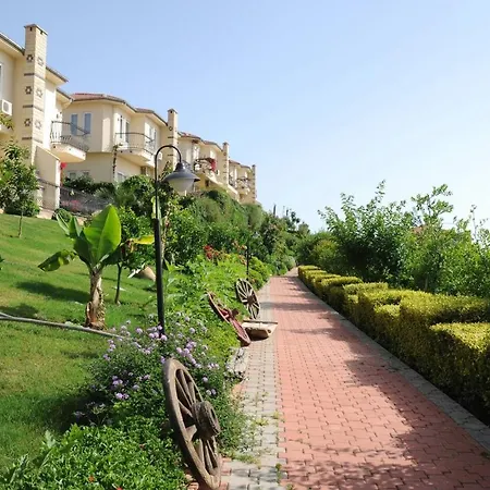 Goldcity فندق *