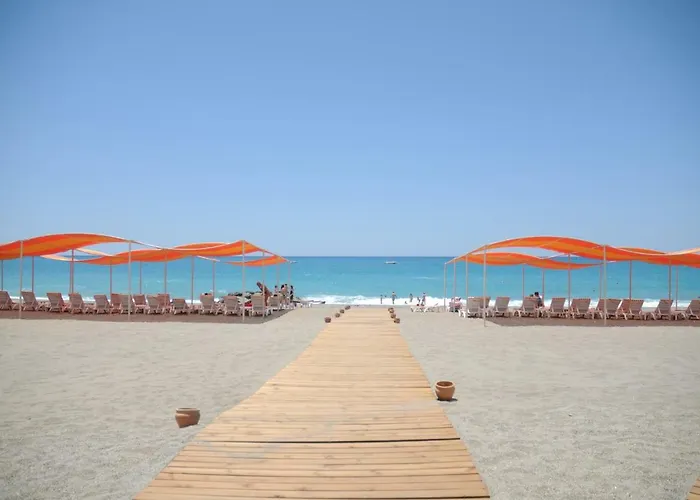 Goldcity * カーギジャック